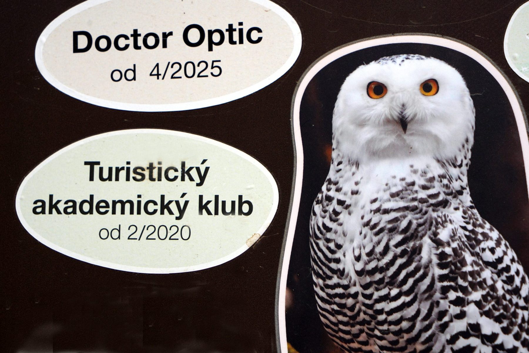 2025_ZOO-ZAJEZD-250723_ZOO-Zajezd-s-detmi_05-scaled