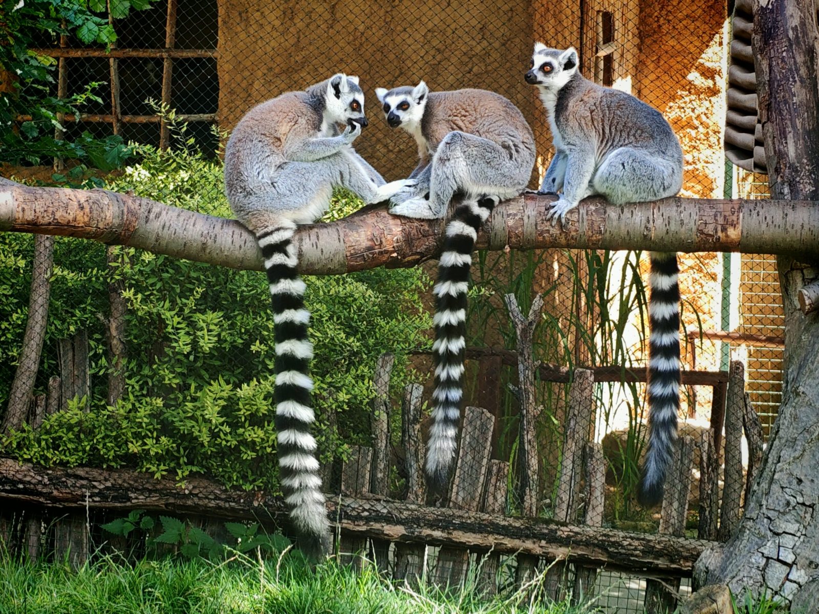 2025_ZOO-ZAJEZD_IMG_20250808_123723-scaled