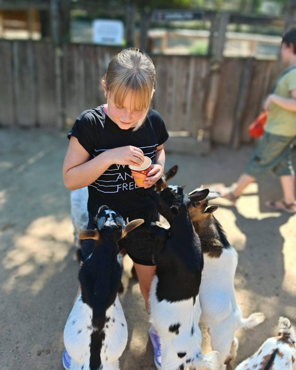 2025_ZOO-ZAJEZD_IMG_20250808_134016-scaled