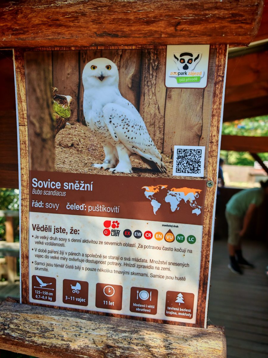 2025_ZOO-ZAJEZD_IMG_20250808_140107-scaled