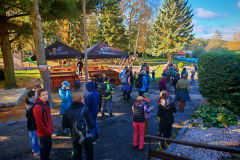 IMG_20251018_103233 IMG_20251018_103233