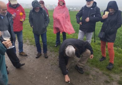 Hadi a štíři, Svatý Jiří: kuličky na Bílé hoře 24.4.2026